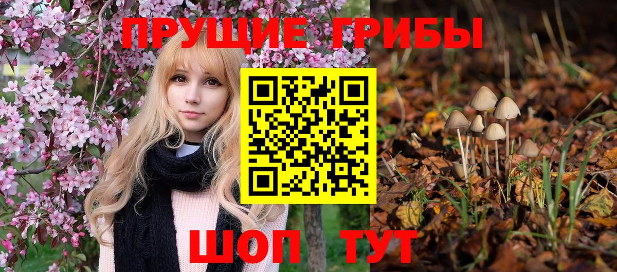 МЕТАМФЕТАМИН  Каннабис  A PVP СОЛЬ   Северск  Вход с VPN  Гашиш  Меф МЯУ МЯУ кристаллы  АМФЕТАМИН  