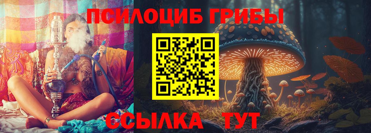 Псилоцибиновые грибы мухоморы  Вход с VPN  Северск  Галлюциногенные грибы мухоморы 