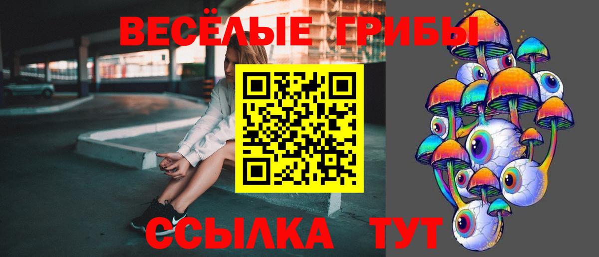 Псилоцибиновые грибы Magic Shrooms Северск